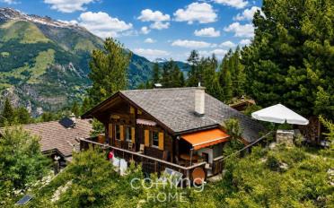 Chalet 4 rooms - image - 6