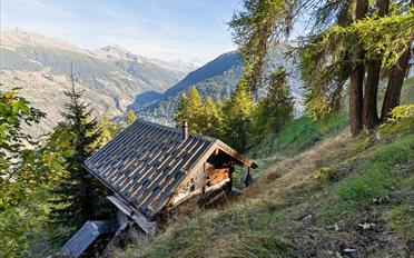 Chalet 2 Zimmer - image - 6