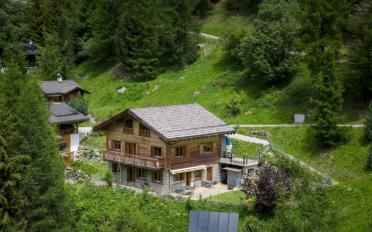 Chalet 6.5 pièces - image - 1