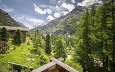 Chalet 6.5 pièces - image - 6