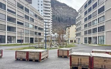 Apartment 3.5 rooms - image - 11