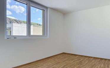 Apartment 2.5 rooms - image - 5