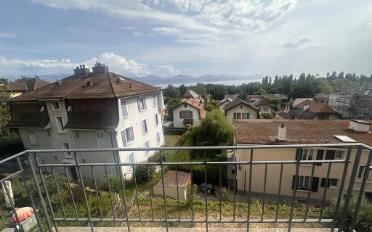 Wohnung 2.5 Zimmer - image - 1