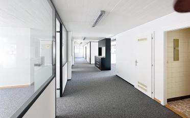 Office 5 rooms - image - 6