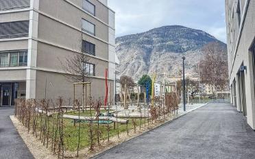 Wohnung 4.5 Zimmer - image - 9