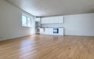 Appartement 2.5 pièces - image - 2
