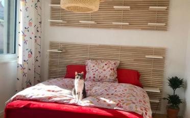 Apartment 4.5 rooms - image - 8