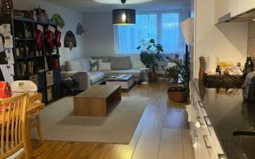 Wohnung 4.5 Zimmer - image - 10
