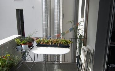Apartment - image - 8