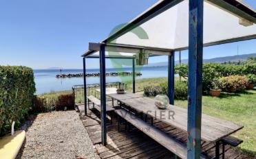Single house 2 rooms - image - 12
