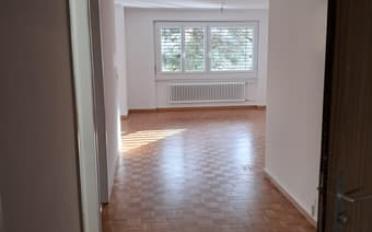 Wohnung 3.5 Zimmer - image - 1