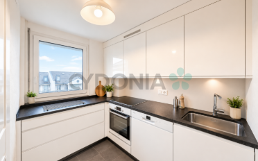 Duplex 4 rooms - image - 7