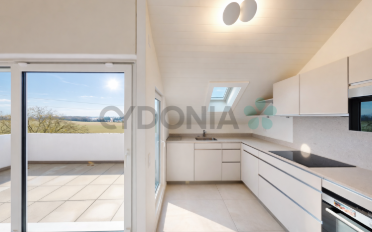 Attic flat 4 rooms - image - 3