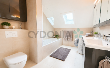 Attic flat 4 rooms - image - 12