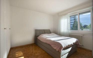 Apartment 2.5 rooms - image - 7