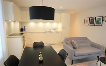 Furnished flat 2.5 rooms - image - 3