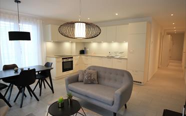 Furnished flat 2.5 rooms - image - 4
