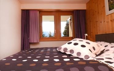 Wohnung - image - 7