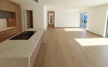 Terrace flat 4.5 rooms - image - 1
