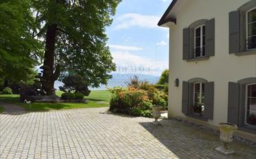 Single house 13 rooms - image - 1