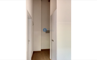Wohnung 2.5 Zimmer - image - 5