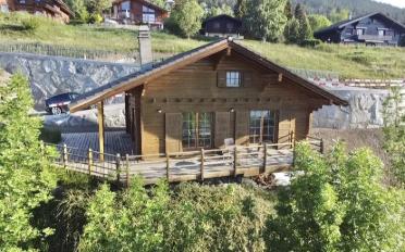 Chalet 3.5 rooms - image - 1