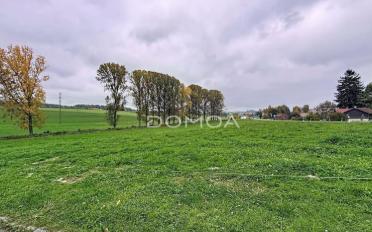 Wohnung 4.5 Zimmer - image - 7