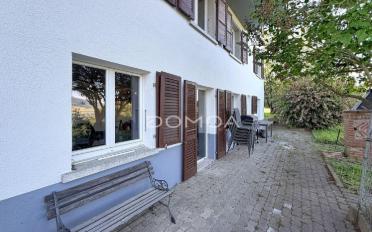 Wohnung 2.5 Zimmer - image - 6