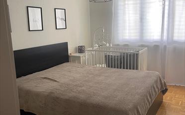Wohnung 2.5 Zimmer - image - 4