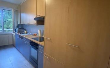 Appartement 4.5 pièces - image - 2