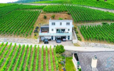 Villa 5.5 pièces - image - 1