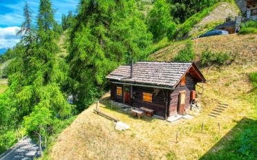Chalet 3.5 Zimmer - image - 1