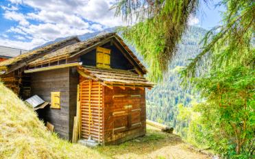 Chalet 3.5 Zimmer - image - 10