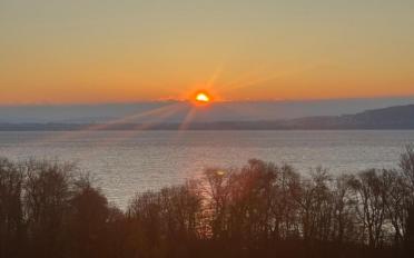Doppeleinfamilienhaus 5.5 Zimmer - image - 6