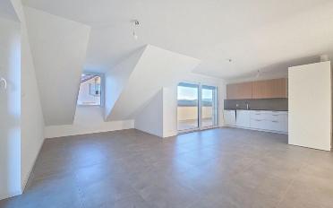 Wohnung 4.5 Zimmer - image - 6