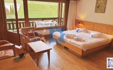 Appartement meublé 1.5 pièces - image - 1