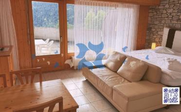Appartement meublé 1.5 pièces - image - 1