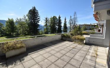 Wohnung 2.5 Zimmer - image - 6