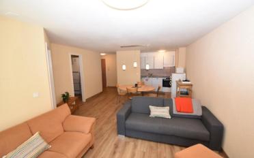 Wohnung 2.5 Zimmer - image - 1