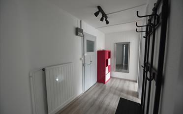 Appartement meublé 2 pièces - image - 6