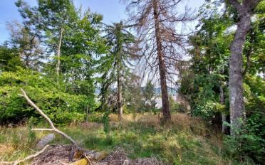 Building land - image - 4