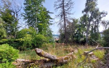 Building land - image - 2