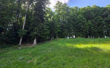 Bauland - image - 2