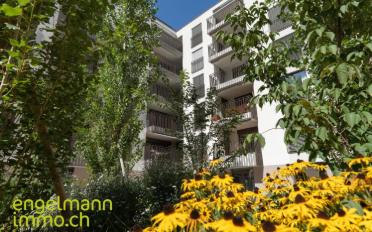 Wohnung 3.5 Zimmer - image - 10