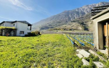 Villa - image - 4