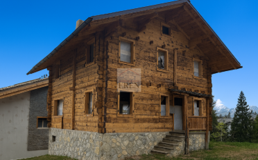 Apartment - image - 12