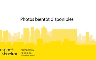 Doppeleinfamilienhaus 6.5 Zimmer - image - 1