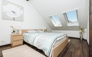 Wohnung 2.5 Zimmer - image - 9