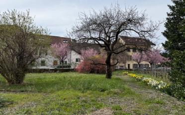 Einfamilienhaus 9 Zimmer - image - 2