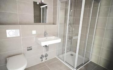 Appartement meublé 1.5 pièces - image - 7